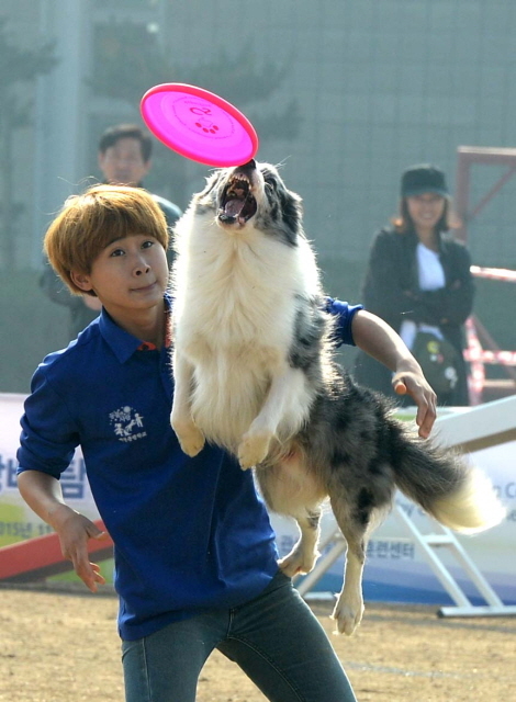 크기변환_1면 20151104 관세청 탐지견 경연대회JYJ_5037.jpg
