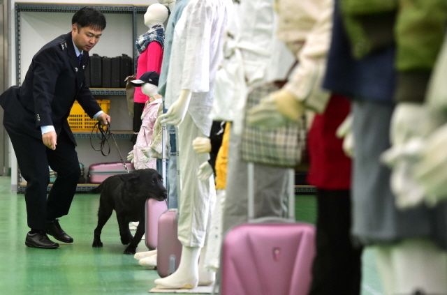 크기변환_1면 20151104 관세청 탐지견 경연대회 JUN_6538.jpg