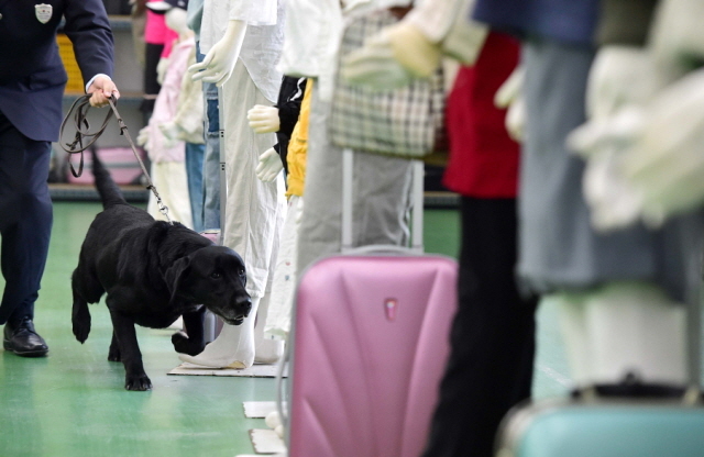 크기변환_1면 20151104 관세청 탐지견 경연대회 JUN_6551.jpg