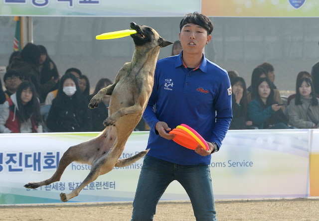 크기변환_1면 20151104 관세청 탐지견 경연대회 JYJ_5005.jpg