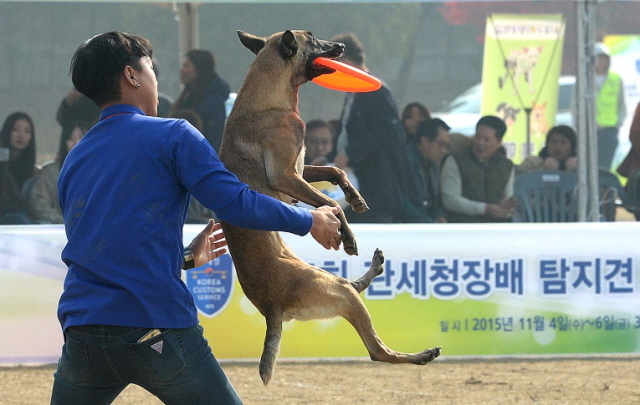 크기변환_1면 20151104 관세청 탐지견 경연대회JYJ_5011.jpg