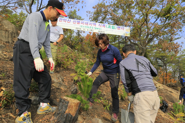 ▲ 산불피해지역 식목행사
