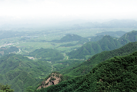 제목 없음-1.jpg