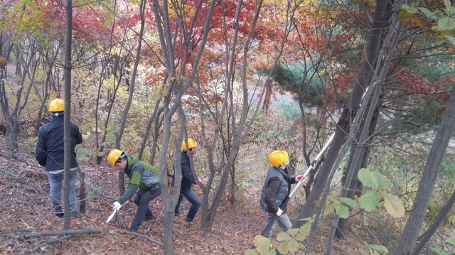 ▲ 숲가꾸기 체험행사