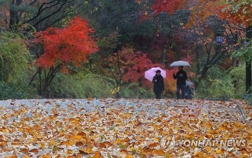 흐리고 비.jpg