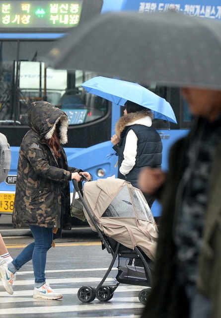 크기변환_1면 20151210 겨울비 스케치 JYJ_3092.jpg