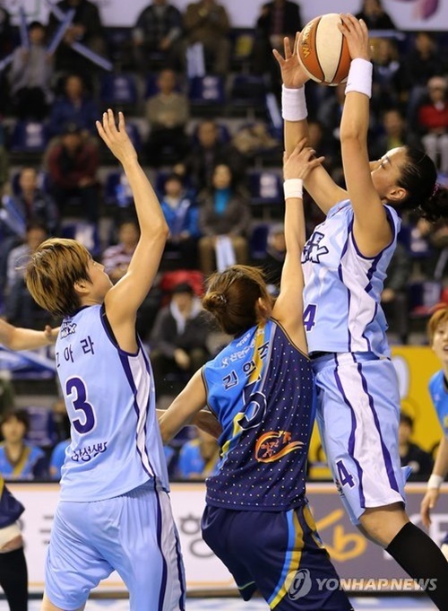 p1.jpg