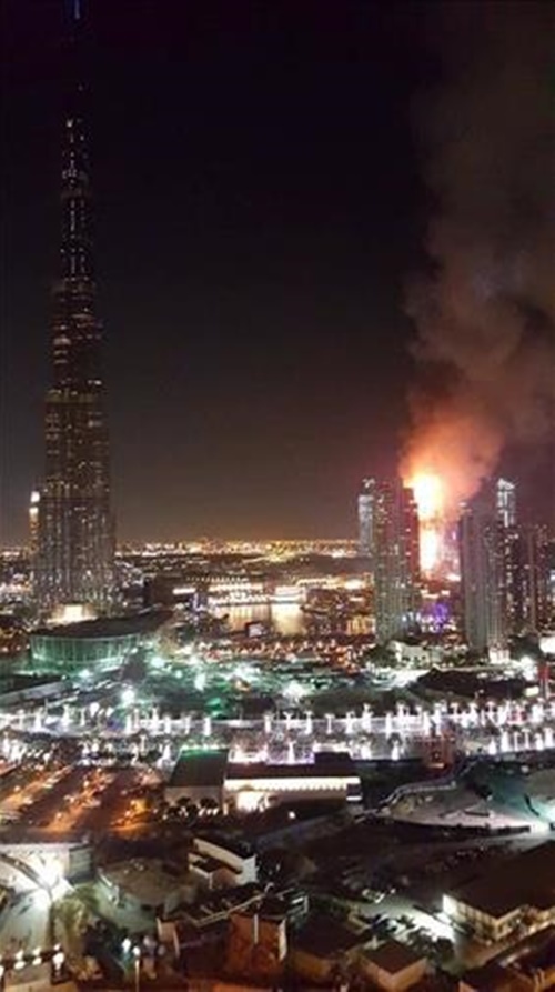 p1.jpg