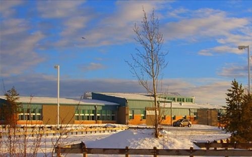 p1.jpg