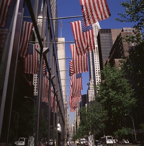 p1.jpg