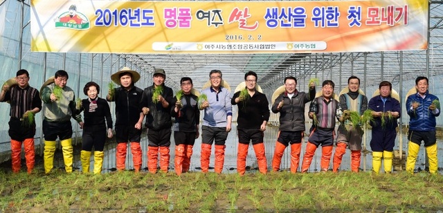 ▲ 1여주시 “첫 모내기” 실시, “대왕님표 여주쌀” 풍년 기원 (2) 사본