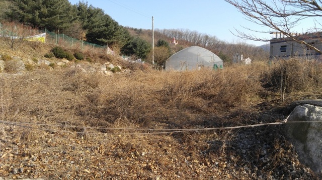 ▲ 방치된 전원주택단지1