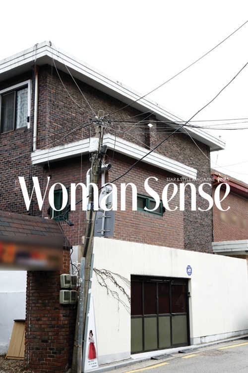 전지현 삼성동 주택.jpg
