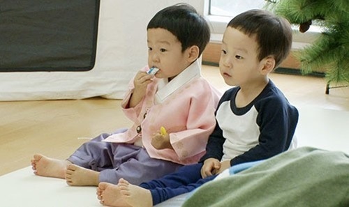p1.jpg