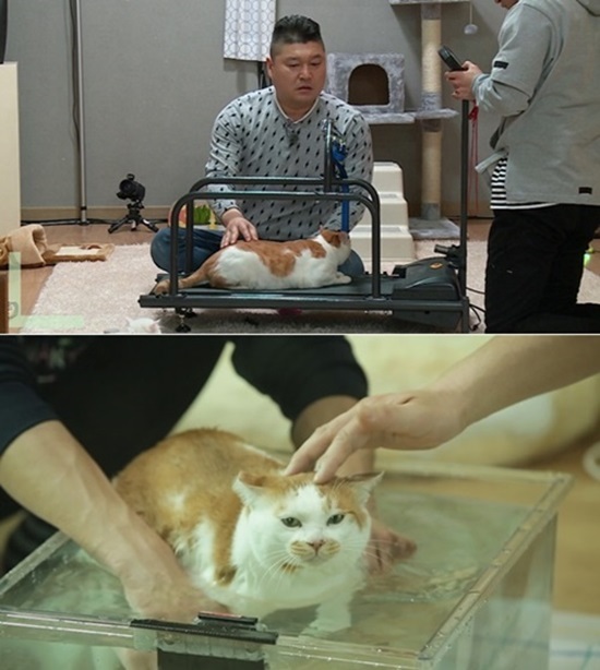 마리1.jpg
