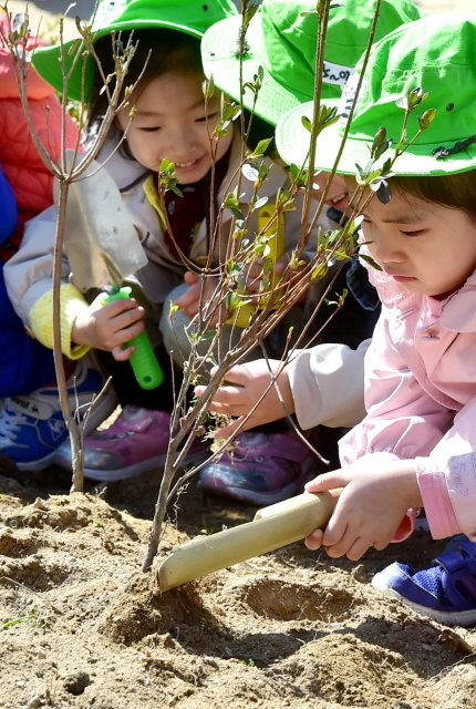 크기변환_7면 20160405 식목일 남구 어린이집 나무심기 JUN_3892.jpg