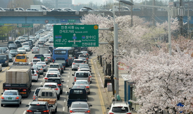 크기변환_7면 20160413 선거휴일 인천대공원 벚꽃 나들이 차량 북적JYJ_2743.jpg