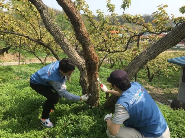▲ 평택시 비전1동소재 월곡1통과 포스코 1사 1촌돕기 배나무 화접 행사
