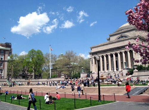 P1.jpg