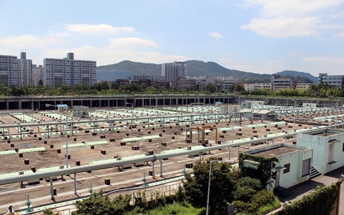 p1.jpg