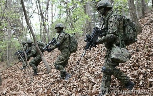 p1.jpg
