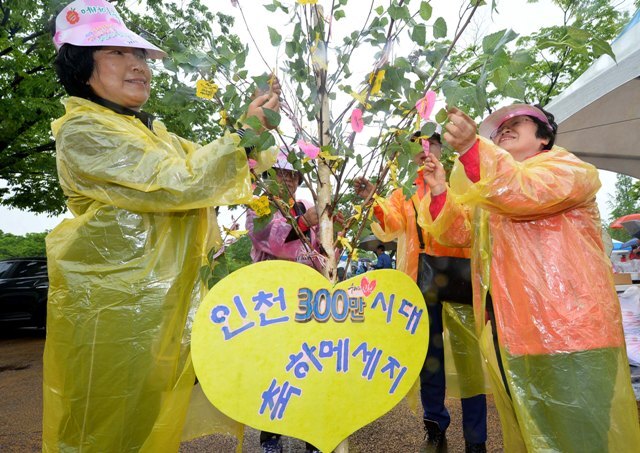 화보 20160560  아이러브 카네이션 어버이 축제JUN_1425_R.jpg