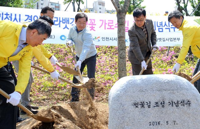 화보 20160507 아라뱃길 카약축제 JUN _0084_R.jpg