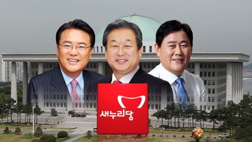 p1.jpg