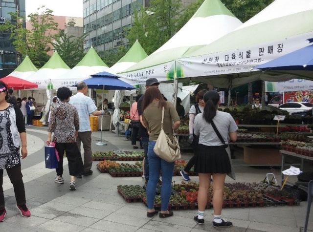▲ 1.고양시, 선인장 한마당 전시회 성공리에 마무리 (1)