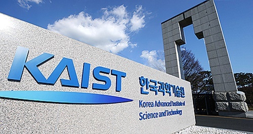P1.jpg