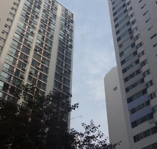 p1.jpg