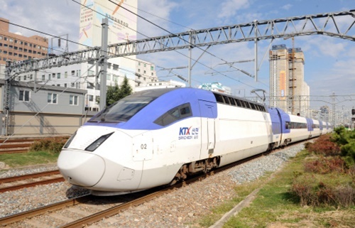 p1.jpg