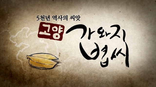 ▲ 1.고양시, 고양 가와지볍씨 홍보 영상 제작·배포 (1)