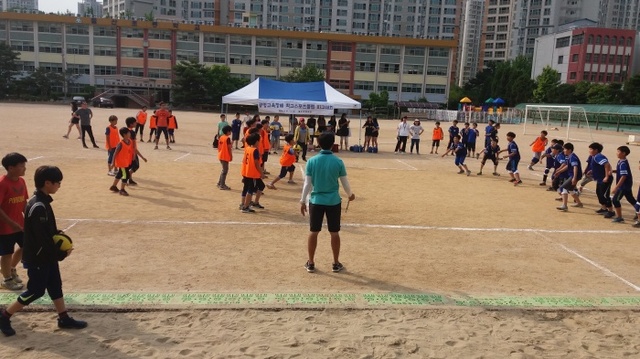 ▲ 지난 27일부터 1일까지 철산초교에서 개최된 '광명교육장배 학교스포츠클럽 초등부 피구대회'. 광명교육청 제공