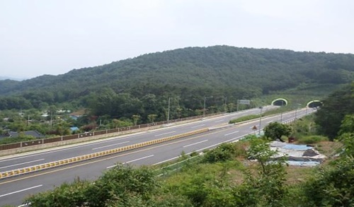 p1.jpg