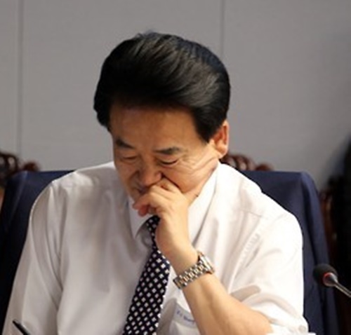 p1.jpg