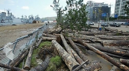 p1.jpg