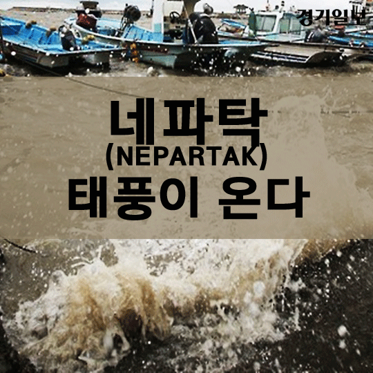 카드1.gif