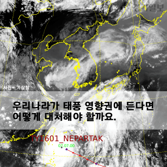 카드6.gif