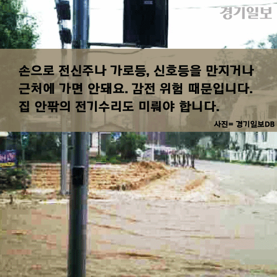 카드8.gif