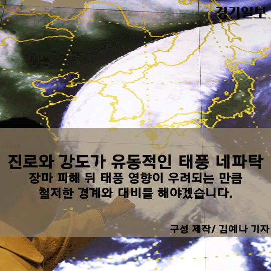 카드11.gif