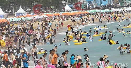 p1.jpg
