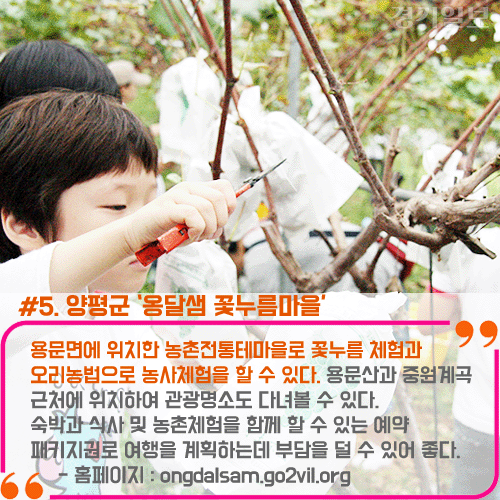 6 복사.gif