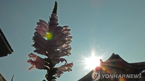 무더위1.jpg