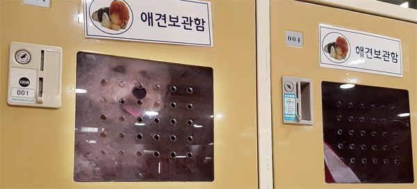 제목 없음-1 사본.jpg