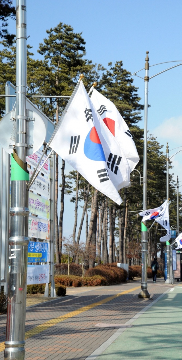 ▲ 성남시 태극기 사랑1