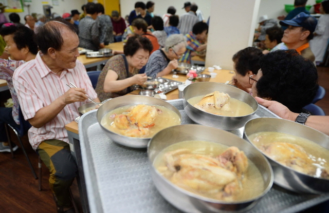 크기변환_7면 말복 사랑의 쌀 나눔운동본부 삼계탕 나눔 행사 JUN_6012.jpg