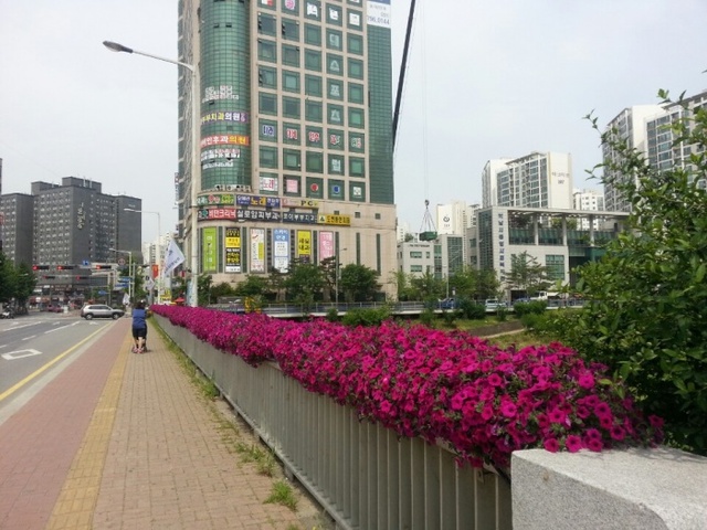 ▲ 하남시  도로변 걸이화분 설치