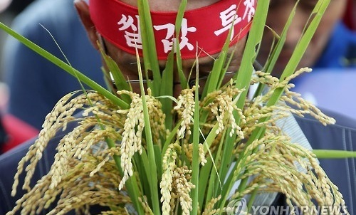 p1.jpg