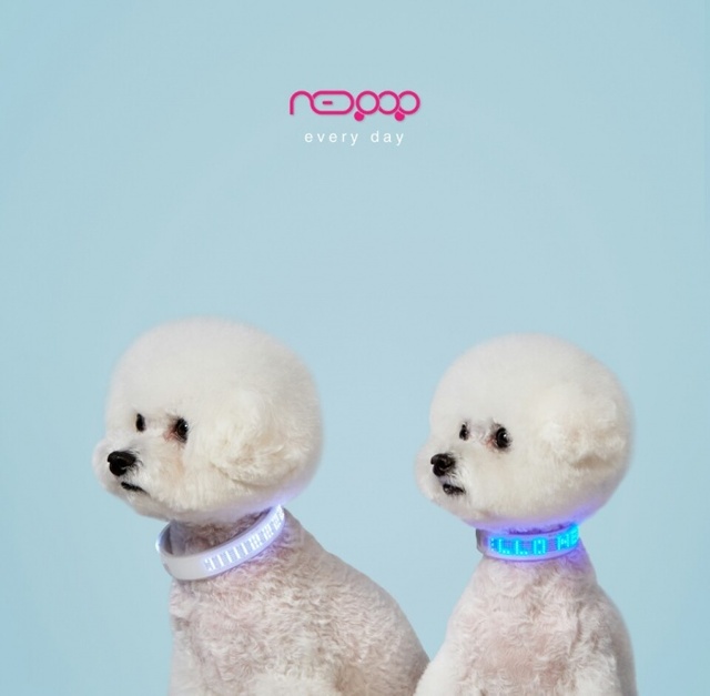 ▲ 네오팝 제품 (1)